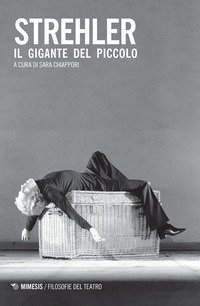 STREHLER IL GIGANTE DEL PICCOLO