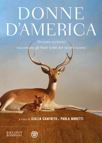 DONNE D\'AMERICA - DICIOTTO SCRITTRICI RACCONTANO GLI STATI UNITI DEL SECOLO SCORSO