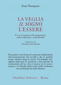 VEGLIA IL SOGNO L\'ESSERE - IL SE\' E LA COSCIENZA NELLE NEUROSCIENZE NELLA MEDITAZIONE E NELLA