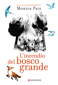 INCENDIO DEL BOSCO GRANDE
