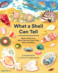 WHAT A SHELL CAN TELL