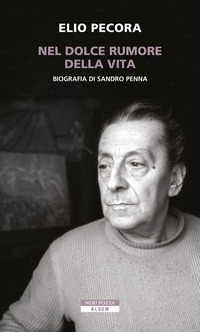 NEL DOLCE RUMORE DELLA VITA - BIOGRAFIA DI SANDRO PENNA