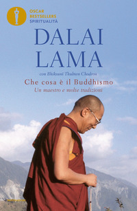 CHE COSA E\' IL BUDDHISMO - UN MAESTRO E MOLTE TRADIZIONI