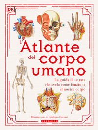 ATLANTE DEL CORPO UMANO