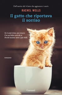 GATTO CHE RIPORTAVA IL SORRISO