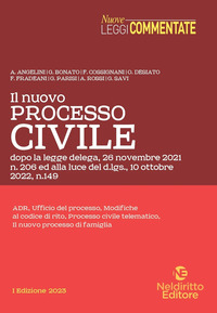 NUOVO PROCESSO CIVILE