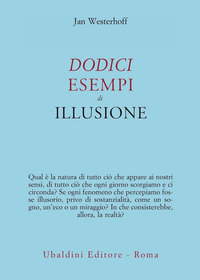 DODICI ESEMPI DI ILLUSIONE