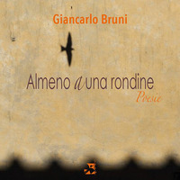 ALMENO A UNA RONDINE