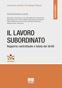 LAVORO SUBORDINATO - RAPPORTO CONTRATTUALE E TUTELA DEI DIRITTI