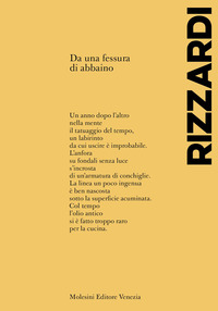 DA UNA FESSURA DI ABBAINO
