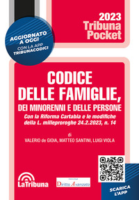 CODICE DELLE FAMIGLIE 2023 DEI MINORENNI E DELLE PERSONE