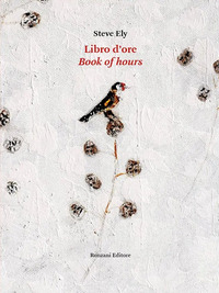 LIBRO D\'ORE
