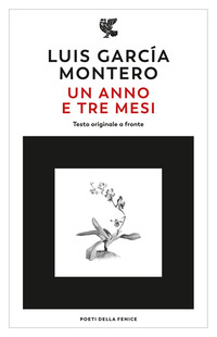 ANNO E TRE MESI