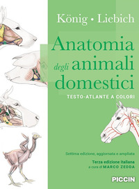 ANATOMIA DEGLI ANIMALI DOMESTICI - TESTO-ATLANTE A COLORI