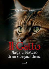 GATTO MAGIA E MISTERO DI UN DISEGNO DIVINO