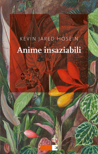 ANIME INSAZIABILI