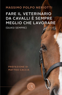 FARE IL VETERINARIO DA CAVALLI E\' SEMPRE MEGLIO CHE LAVORARE QUASI SEMPRE