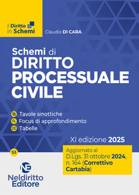 SCHEMI DI DIRITTO PROCEDURA CIVILE - AGGIORNATO AL DECRETO CORRETTIVO CARTABIA D.LGS. 31 OTTOBRE