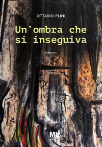 OMBRA CHE SI INSEGUIVA