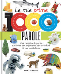 MIE PRIME 1000 PAROLE - UNA RACCOLTA DI PAROLE PER SUDDIVISE PER ARGOMENTO PER ARRICCHIRE
