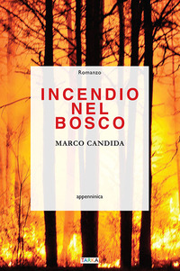 INCENDIO NEL BOSCO