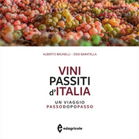 VINI PASSITI D\'ITALIA - UN VIAGGIO PASSO DOPO PASSO
