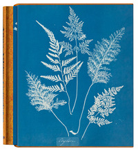 ANNA ATKINS. CYANOTYPES. EDIZ. INGLESE, FRANCESE E TEDESCA