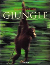 GIUNGLE