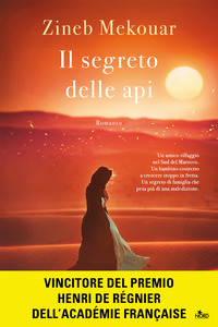 SEGRETO DELLE API