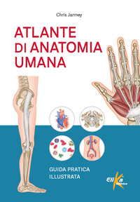 ATLANTE DI ANATOMIA UMANA - GUIDA PRATICA ILLUSTRATA