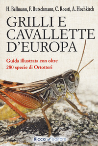 GRILLI E CAVALLETTE D\'EUROPA - GUIDA ILLUSTRATA CON OLTRE 280 SPECIE DI ORTOTTERI