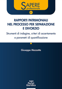 RAPPORTI PATRIMONIALI NEL PROCESSO PER SEPARAZIONE E DIVORZIO - STRUMENTI DI INDAGINE CRITERI