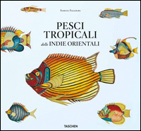 PESCI TROPICALI DELLE INDIE ORIENTALI