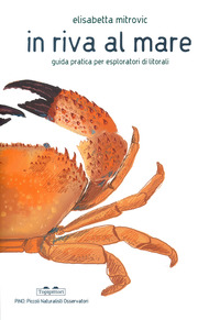 IN RIVA AL MARE - GUIDA PRATICA PER ESPLORATORI DI LITORALI