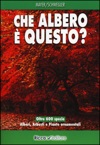 CHE ALBERO E\' QUESTO ?