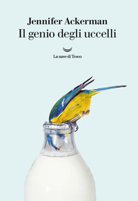 GENIO DEGLI UCCELLI