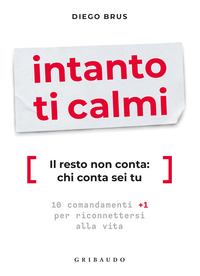 INTANTO TI CALMI - IL RESTO NON CONTA CHI CONTA SEI TU 10 COMANDAMENTI +1 PER RICONNETTERSI