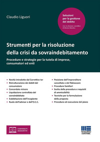STRUMENTI PER LA RISOLUZIONE DELLA CRISI DA SOVRAINDEBITAMENTO - PROCEDURE E STRATEGIE PER LA