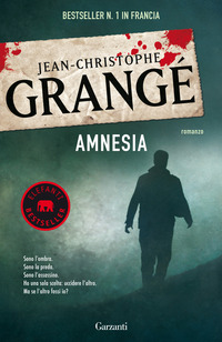 AMNESIA