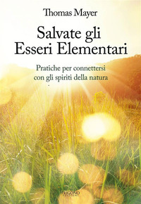 SALVATE GLI ESSERE ELEMENTARI - PRATICHE PER CONNETTERSI CON GLI SPIRITI DELLA NATURA