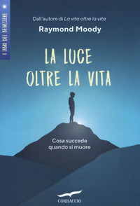 LUCE OLTRE LA VITA - COSA SUCCEDE QUANDO SI MUORE
