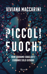 PICCOLI FUOCHI - NON ERAVAMO SBAGLIATI ERAVAMO SOLO GIOVANI