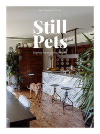STILL PETS - STORIES FROM LIVING ROOMS