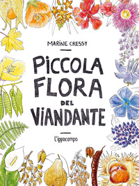 PICCOLA FLORA DEL VIANDANTE