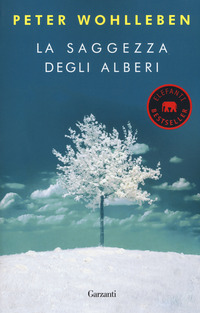 SAGGEZZA DEGLI ALBERI