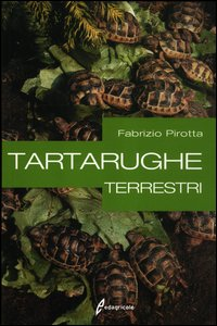 TARTARUGHE TERRESTRI