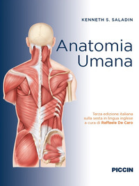 ANATOMIA UMANA