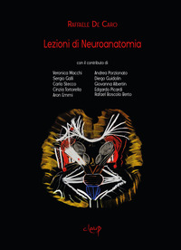 LEZIONI DI NEUROANATOMIA