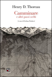 CAMMINARE E ALTRI PASSI SCELTI