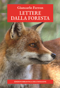 LETTERE DALLA FORESTA